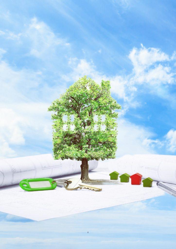 Curso  Gratuito de  Construção de Casas Ecológicas